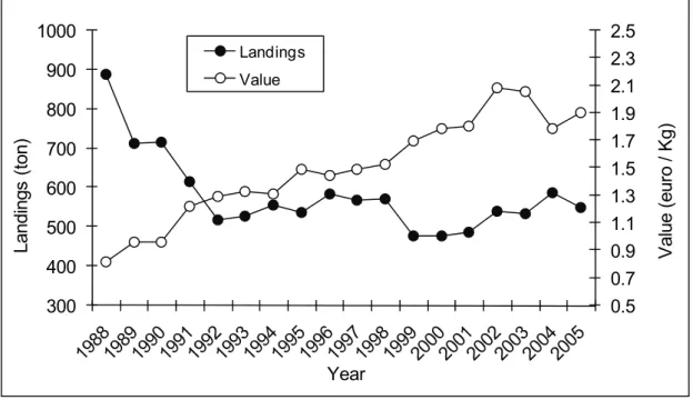 Figure 1.3. Landings and average value of elasmobranchs landed in the Algarve  region from 1988 to 2005