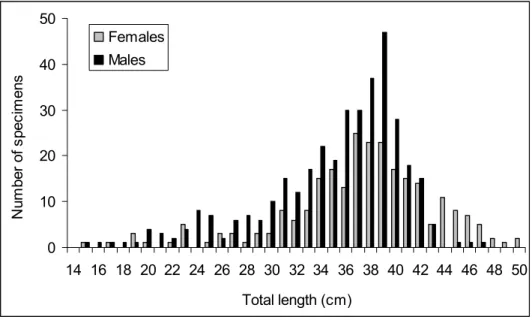Figure 4.2. Size distribution, by 1cm TL size class, of the sample of Etmopterus  pusillus used in this study