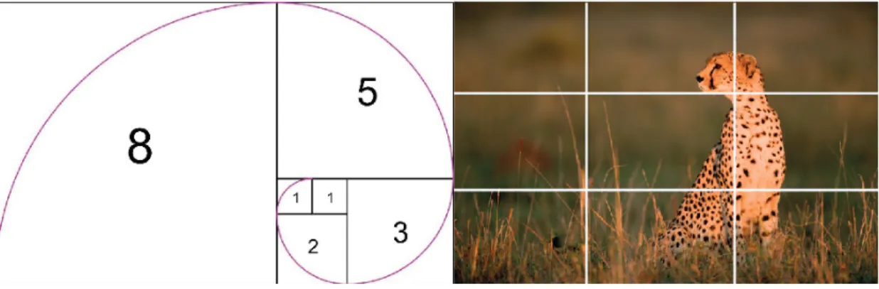 Fig. 4 – Regras de posicionamento e proporção. 