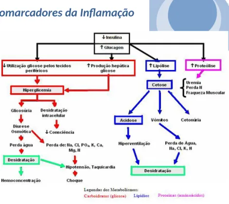 Figura 9 – Modelo explicativo entre a diminuição da concentração de insulina e alguns sintomas da diabetes.