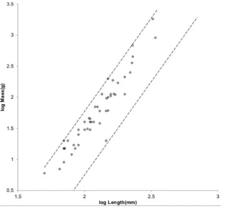Figure 6 Log body mass as a function of log head and body length for Cricetidae. The data are from Nowak (1999)