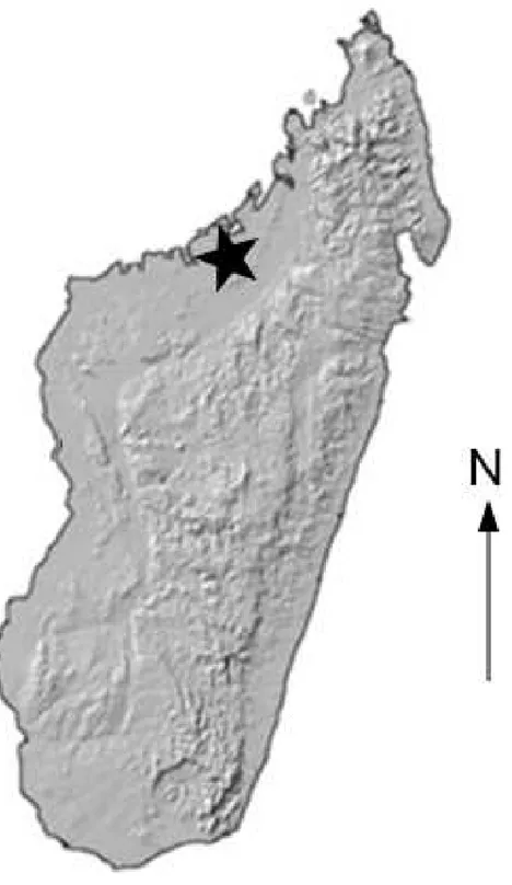 Figure 1 Locality Map. Map showing location of the Anjohibe Cave system in Northwest Madagascar.