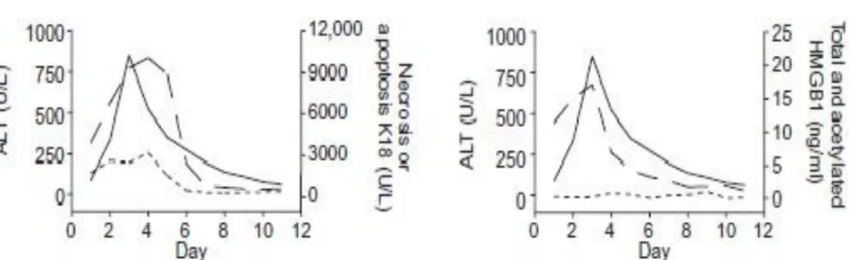 Figura 4 - Evolução temporal do perfil das formas moleculares de HMGB1 e K18 comparativamente à  atividade de ALP