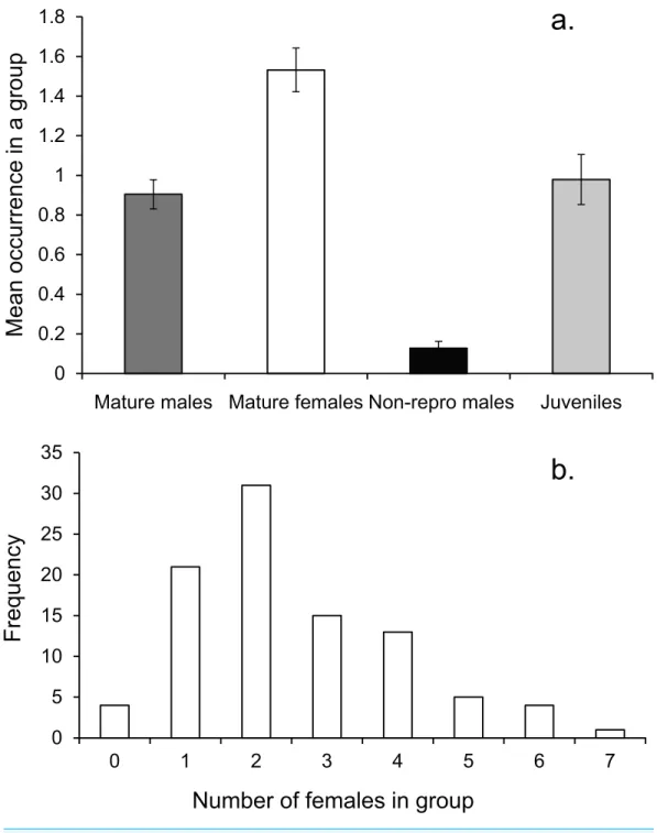 Figure 3 Social group composition. (A) Composition of a social group, (B) frequency distribution of fe- fe-males within social groups around Lizard island (n = 95 social groups)