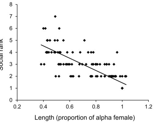 Figure 4 Size affects female status. Relationship between dominance rank of Pomacentrus amboinen- amboinen-sis females within a social group and the size of the female relative to the alpha female