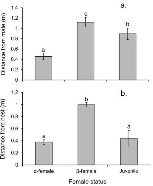 Figure 7 Rank affects access to resources for females. Proximity of female Pomacentrus amboinensis to the male (A) or nest site (B)