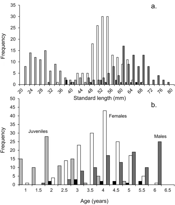 Figure 2 Population demographics. Size (A) and age-frequency (B) distributions by gender of Pomacen- Pomacen-trus amboinensis at Lizard Island, northern GBR