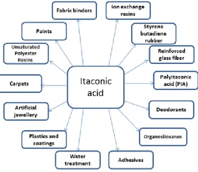 Fig. 1.7: Some industrial applications of itaconic acid [40] 
