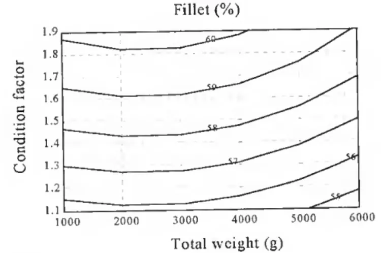 Figure 22. The relationship between total body weight (g), condition factor and percentage of fillet (%) in farmed  vellowtail 