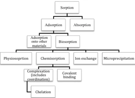 Figure 10.  Classification system of metal biosorption mechanisms 