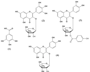 Figure 14.  Chemical structures of the polyphenols tentatively identified in carob kibbles, using liquid  chromatography–diode array–mass spectroscopy