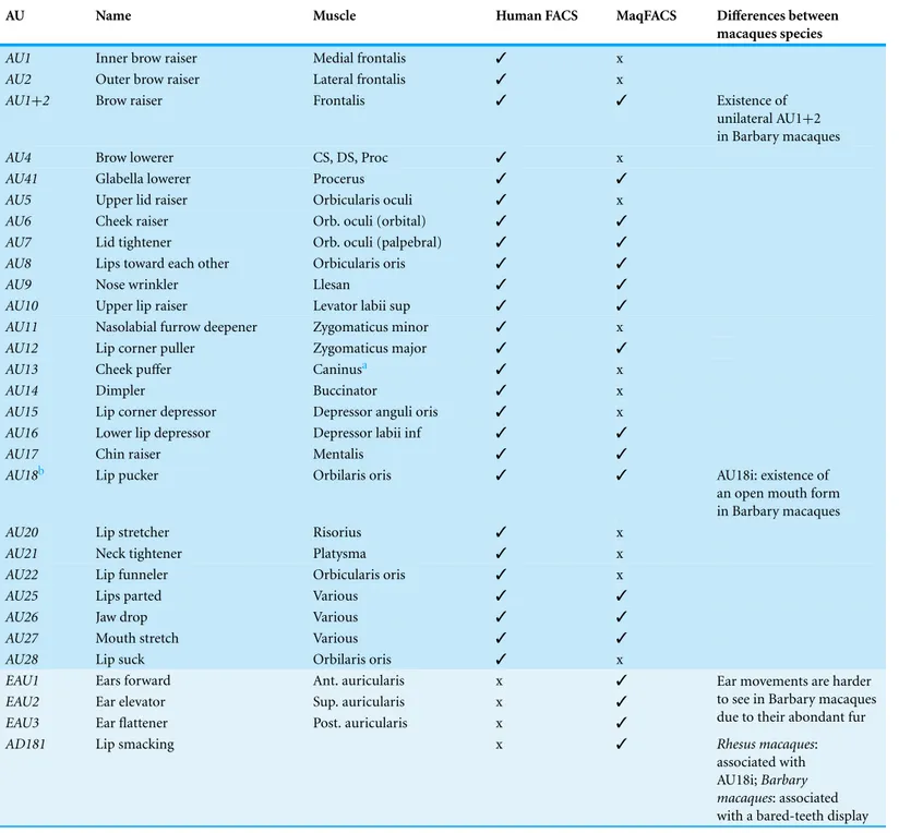 Table 2 Summary of AUs in macaques and the difference between species, in comparison to humans.
