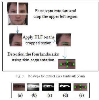 Fig. 2. The static landmark points (blue points) and the feature landmark  points (green points) 