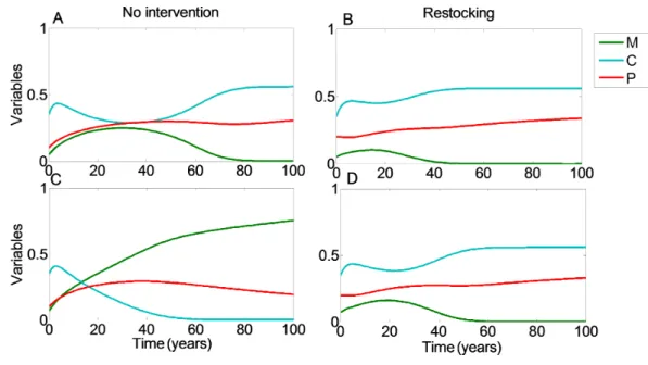 Figure 2 Restocking shortens restoration time. We plot the values of the coral coverage (C, light blue), macroalgae coverage (M, green), and grazing fish (P, red) with respect to time, no intervention (A and C), and restocking (B and D), for different init