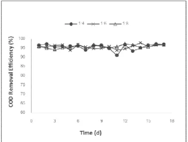 Figure 2. COD removal efficiency at first anoxic to second anoxic time ratios of 1:4, 1:6, 1:8 and SRT  of 70 d 