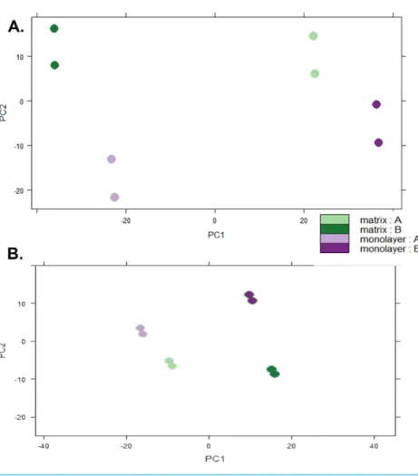 Figure 5 Principal Component Analysis. Plots of raw read count data (A) and FPKM normalized data (B) from RNA sequencing of normal human astrocyte RNA from two different donors (denoted by A and B) grown with TCPS and peptide hydrogel