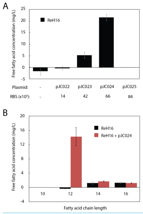 Figure 2 Production of lauric acid by engineered R. eutropha. (A) Total free fatty acids (FFA) produced by ReH16 grown on rich broth (RB) and expressing UcFatB2 from plasmids (top row) of different predicted RBS strengths (RBS Calculator; bottom row)