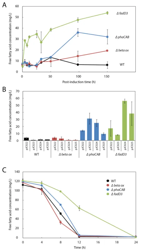 Figure 3 β-oxidation limits fatty acid yield in engineered R. eutropha. (A) Time course of free fatty acid (FFA) production by di ff erent R