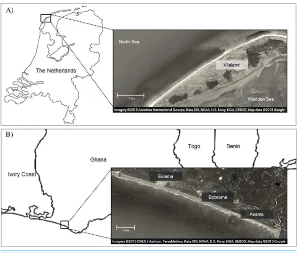 Figure 1 Map of study area in Vlieland, the Netherlands (A), and Esiama, Ghana (B). Satellite imagery was derived from Google and can be attributed to: Aerodata International Surveys, Data SIO, NOAA, US Navy, NGA, GEBCO, Map data 2015 (A) and CNES/Astrium,