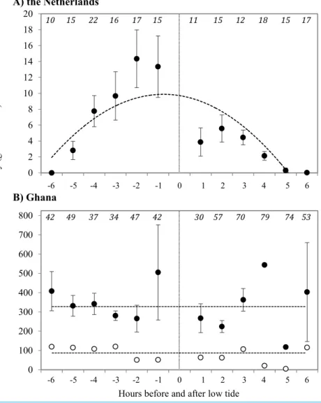 Figure 2 Density of prey at the tide line in g AFDM/m 2 at (A) Vlieland, the Netherlands, and (B) Esiama, Ghana