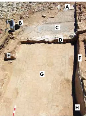 Fig. 4 – Área escavada  para extrair o mosaico.