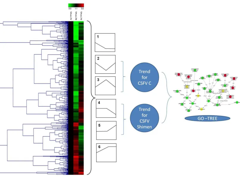 Figure 5 The procedure for series-cluster trend analysis to identify significant GO categories