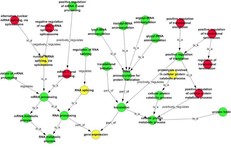 Figure 6 GO-Net of the significant GO categories in CSFV libraries vs. Control libraries (p < 0 
