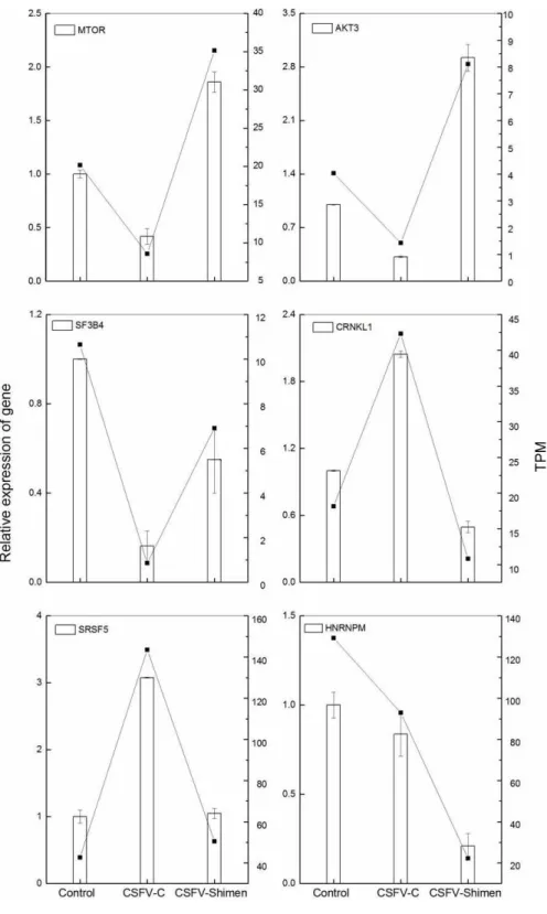 Figure 7 qPCR validation of the DGE data. The histograms denote the results of relative qPCR analysis of the target gene, and TPM changes are depicted in the line chart