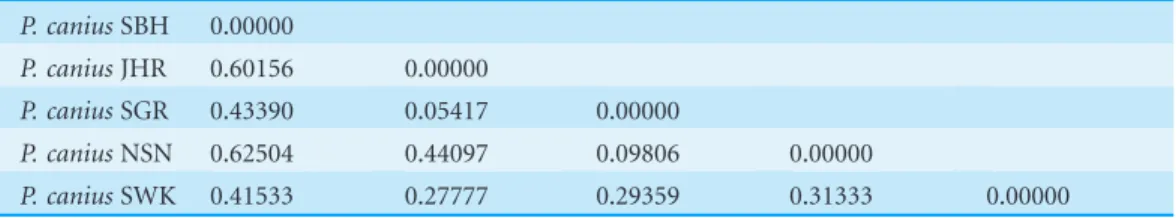 Figure 4 MSN of 20 haplotypes of P. canius.