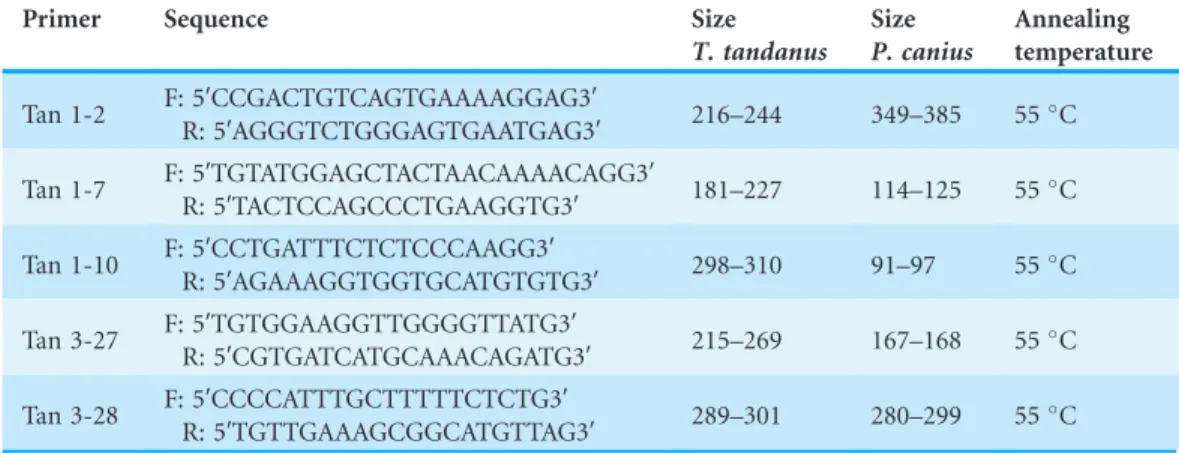 Table 7 Five engaged primer sets and their associated size and temperature in T. tandanus and P