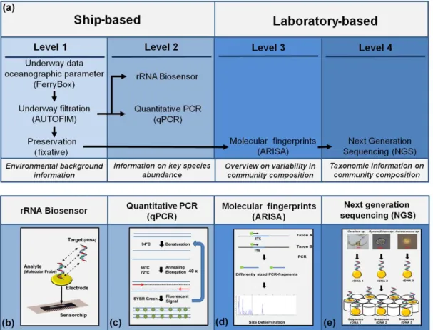 Figure 1. (a) Overview of the smart observation strategy which is organized into four different levels: level 1: samples are collected in transit or at monitoring sites using the remotely controlled automated filtration system AUTOFIM; level 2: direct mole