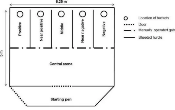 Figure 1 Experimental apparatus. Position of the positive corridor (right or left depending on the goats), the negative corridor (opposite direction), the three ambiguous corridors, the central arena and the start pen