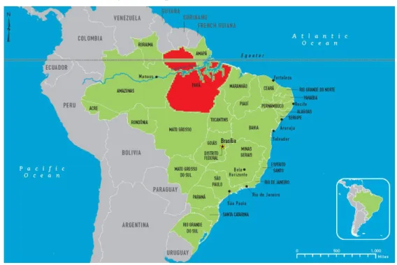 Figura 1: Mapa do Estado do Pará 