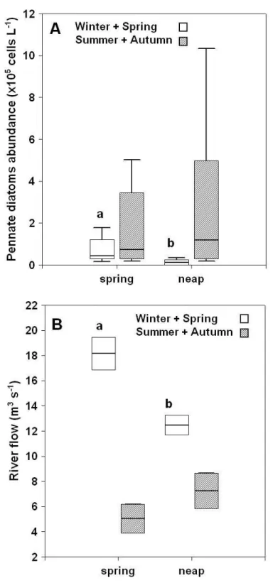 Figure  3.6  -  Box  and  whisker  plots  showing  A)  distribution  of  pennate  diatoms  and  B)  river  flow  (average  of  the  8  days  preceding  sampling)  binned  in  different  seasons  (winter  +  spring,  summer  +  autumn) along spring-neap tid