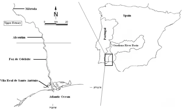 Figure 4.1 – Map of the Guadiana estuary and sampling station (Alcoutim). 