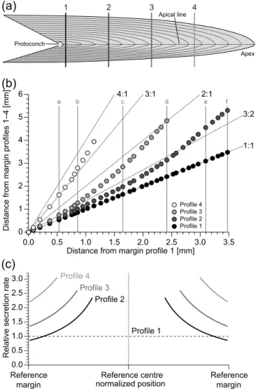 Figure 1. Studied geochemical profiles and their relative secretion rates. (a) Schematic representation of the rostrum of P