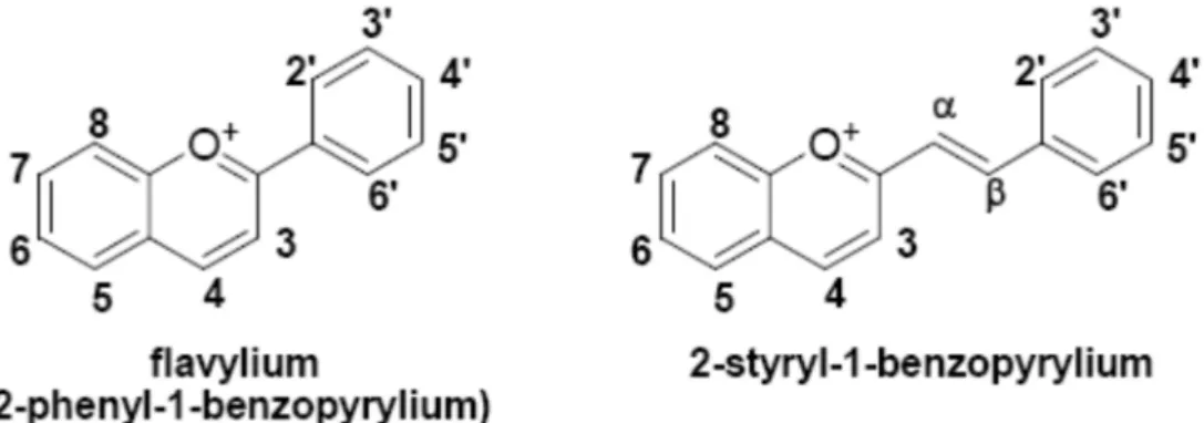 Figure 1. Structure of 2-phenyl-1-benzopyrylium compared with 2-styryl-1-benzopyrylium