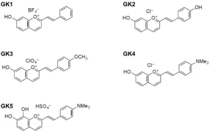 Figure 2. Molecular structures of the five investigated compounds: 7-hydroxy-2-styryl-1- 7-hydroxy-2-styryl-1-benzopyrylium (GK1), hydroxystyryl)-1-7-hydroxy-2-styryl-1-benzopyrylium (GK2),  7-hydroxy-2-(4’-methoxystyryl)-1-benzopyrylium (GK3), 7-hydroxy-2
