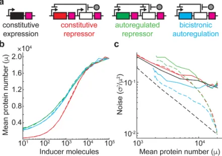 Fig 1. Simulated gene expression dose-response and noise in different regulatory circuits