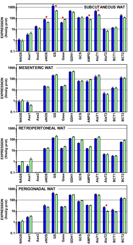 Figure 3 Expression of genes coding for enzymes of amino acid metabolism in WAT sites of male and female rats