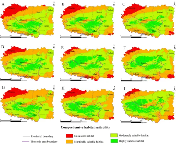 Figure 5 Distribution map of habitat acclimatization for S. sphenanthera based on three GCM in SRES-B1