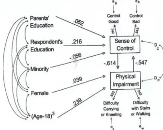 Figura  4.  Modelo  estrutural que  estima  o  feedback  duplo  e  negativo  entre  a  perda  de  funcionalidade e a perceção de controlo (adaptado de Mirowsky &amp; Ross, 2005, p.43)