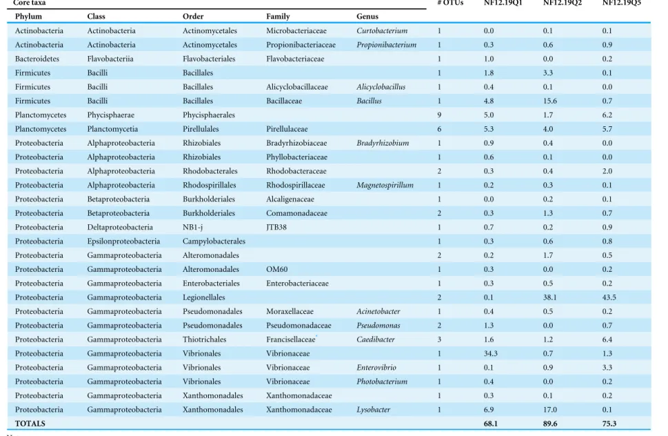 Table 2 Core bacterial taxa shared by three P. placomus samples and their relative abundance in each sample, as a percentage of the total taxa.