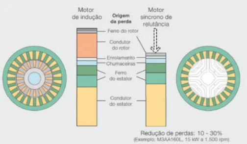 Figura 1.2: Rendimento e perdas do SynRM [10].