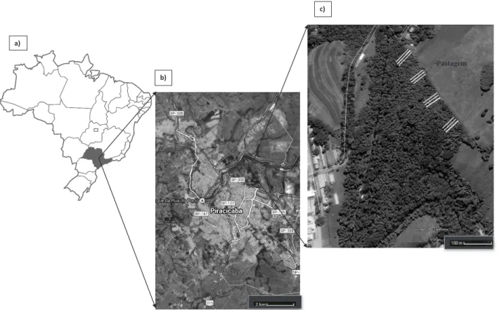 Figura 1. Vista aérea do fragmento de Floresta Estacional Semidecidual  – Mata da Pedreira, localizada no campus  