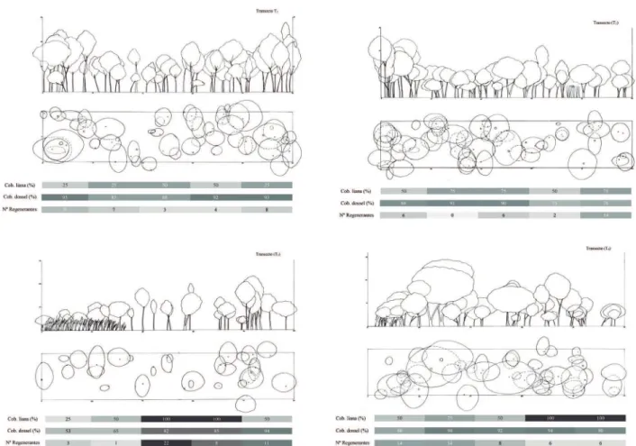 Figura 2. Peris horizontal e vertical dos transectos T 1 ; T 2 ; T 3  e T 4  em fragmento de Floresta Estacional Semidecidual  –  Mata da Pedreira, localizada no campus “Luiz de Queiroz” – ESALQ-USP em Piracicaba, SP