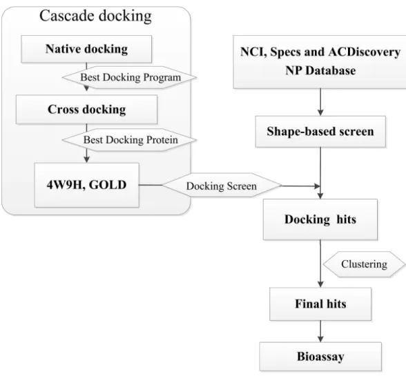 Figure 1 Flow diagram of the shape-based screening protocol and cascade docking procedures.