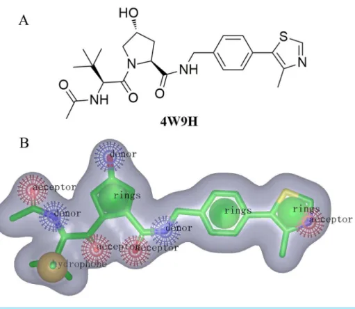 Figure 2 (A) The structure of the template molecule extracted from the crystal complex, PDB id 4W9H.