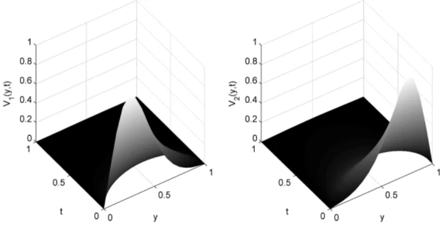 Figure 4: Evolution in time of the approximated solution in the fixed boundary problem for v 1 (left) and v 2 ( right).
