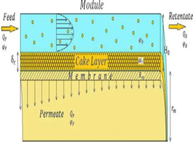 Fig. 1. Schematic view of the membrane module  [Kazemi et al., 2013]